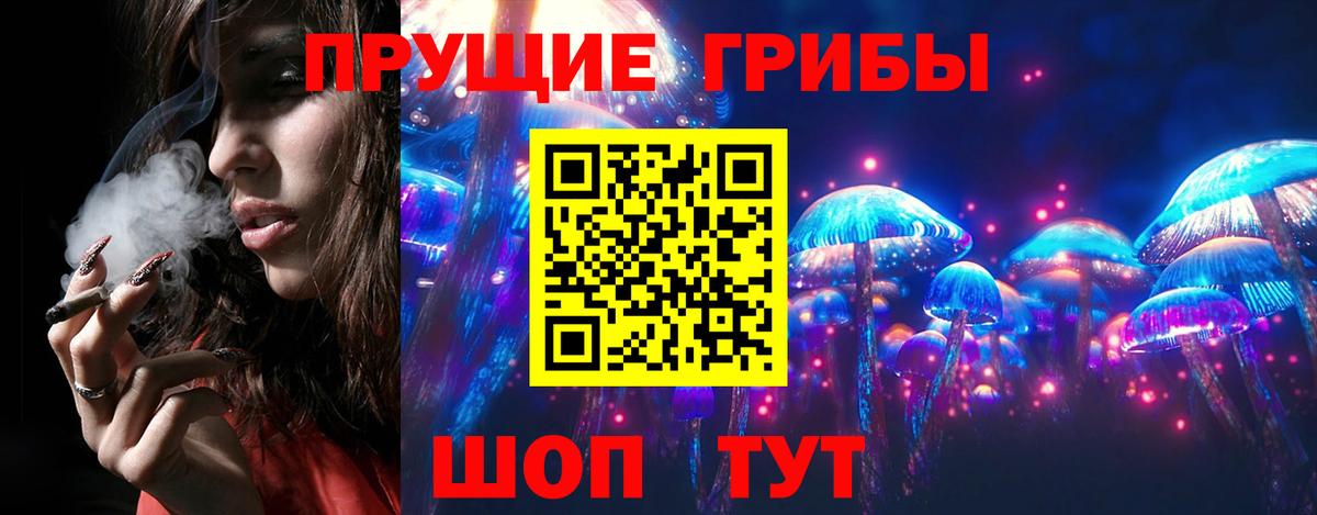 Сальск  Псилоцибиновые грибы Magic Shrooms  Псилоцибиновые грибы Cubensis  Вход с VPN 